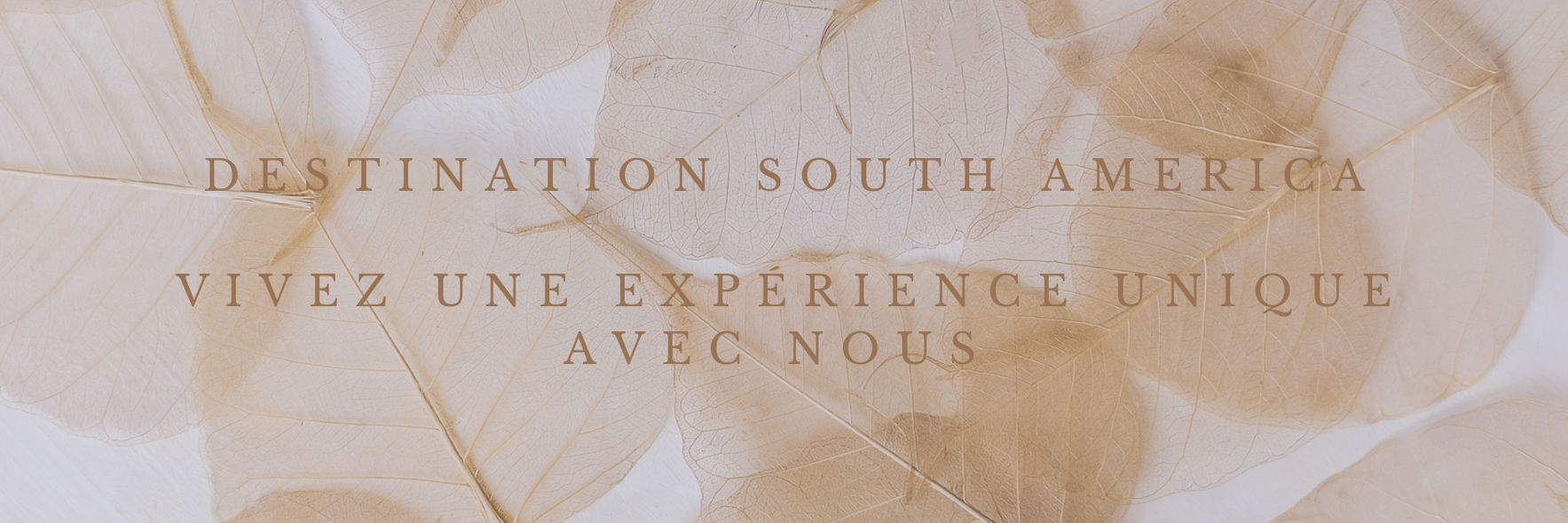 Destination Asie. Vivez une expérience unique avec nous. (20)_page-0001 (1).jpg