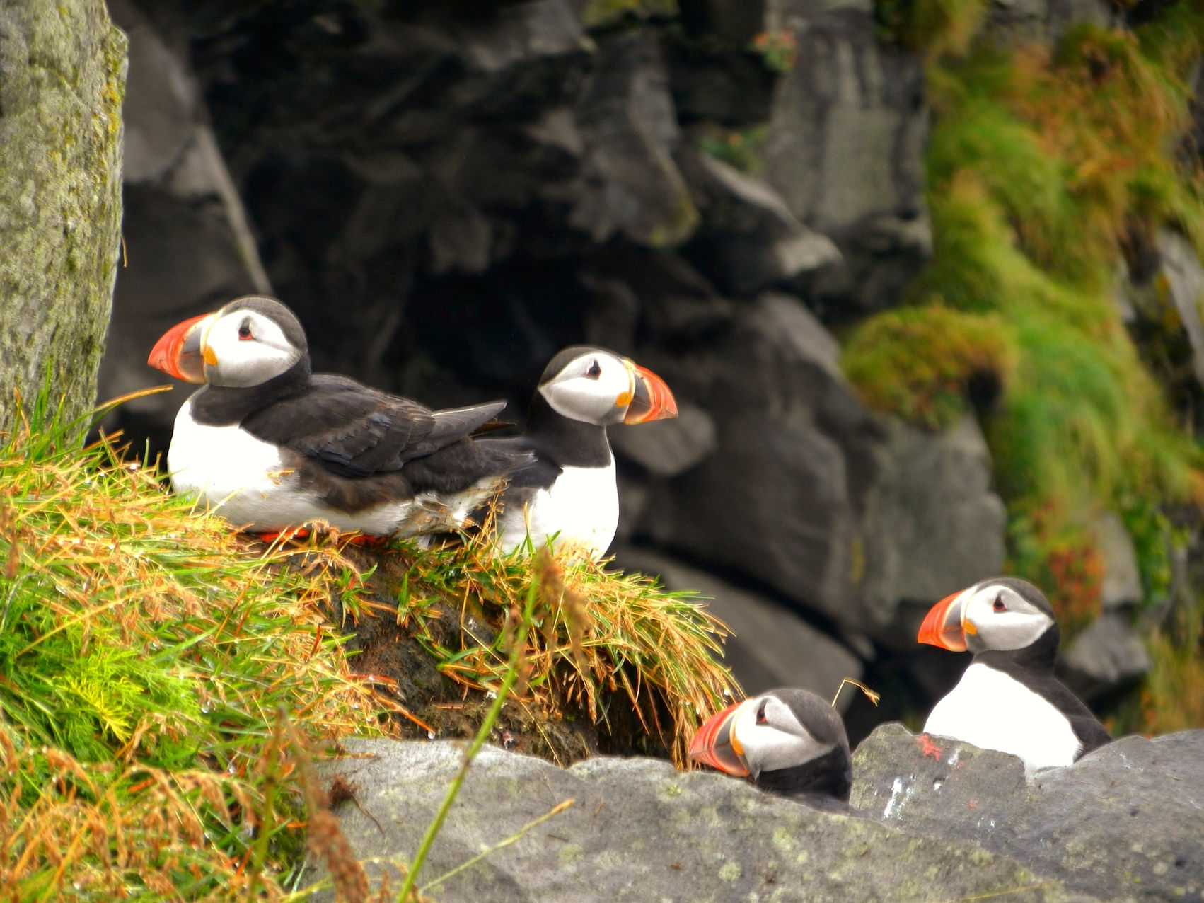 A Collection World for Hotels/Resorts/Lodges & Eco Lodges. Hotel Design & Interior Design by Karim Rashid & Laura Klassik. Miami Art Gallery.
We offer you never-before-seen places. Discover and experience with us the Nature, the Ocean, new Cultures, new Landscapes of this amazing World. Our Earth, our Ocean, our Roots, our Cultures, our World.