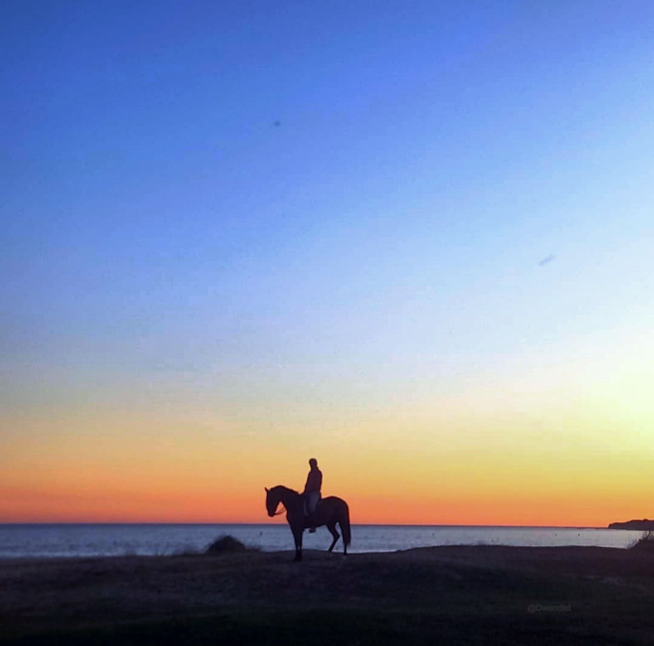 A Collection World for Hotels/Resorts/Lodges & Eco Lodges. Hotel Design & Interior Design by Karim Rashid & Laura Klassik. Miami Art Gallery.
We offer you never-before-seen places. Discover and experience with us the Nature, the Ocean, new Cultures, new Landscapes of this amazing World. Our Earth, our Ocean, our Roots, our Cultures, our World.