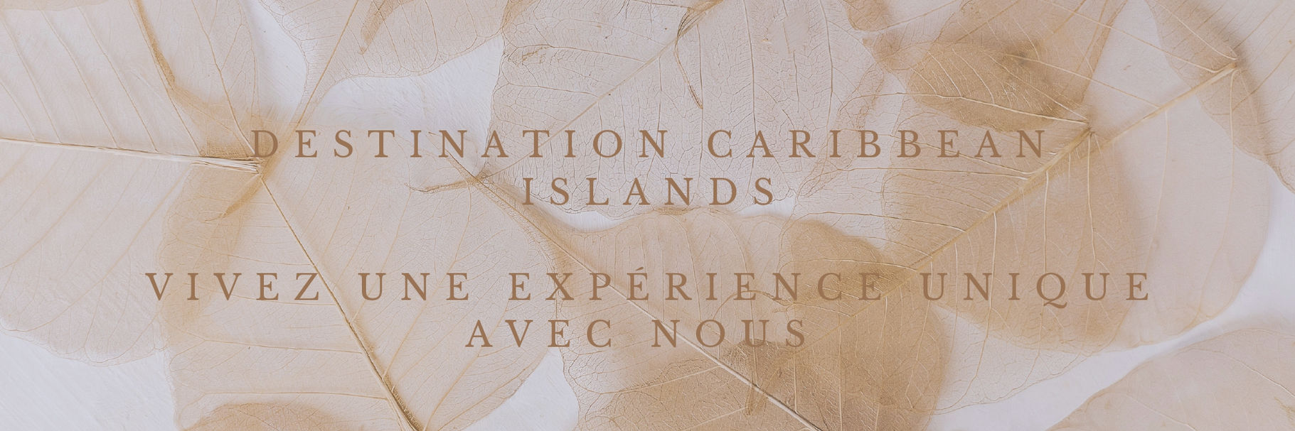 Destination Asie. Vivez une expérience unique avec nous. (13)_page-0001.jpg