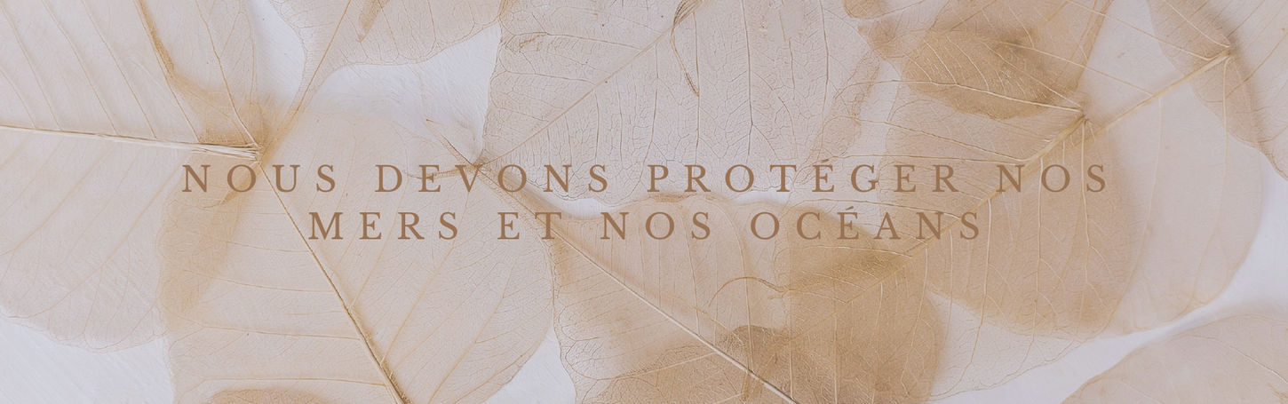 Destination Asie. Vivez une expérience unique avec nous. (27)_page-0001 (2).jpg