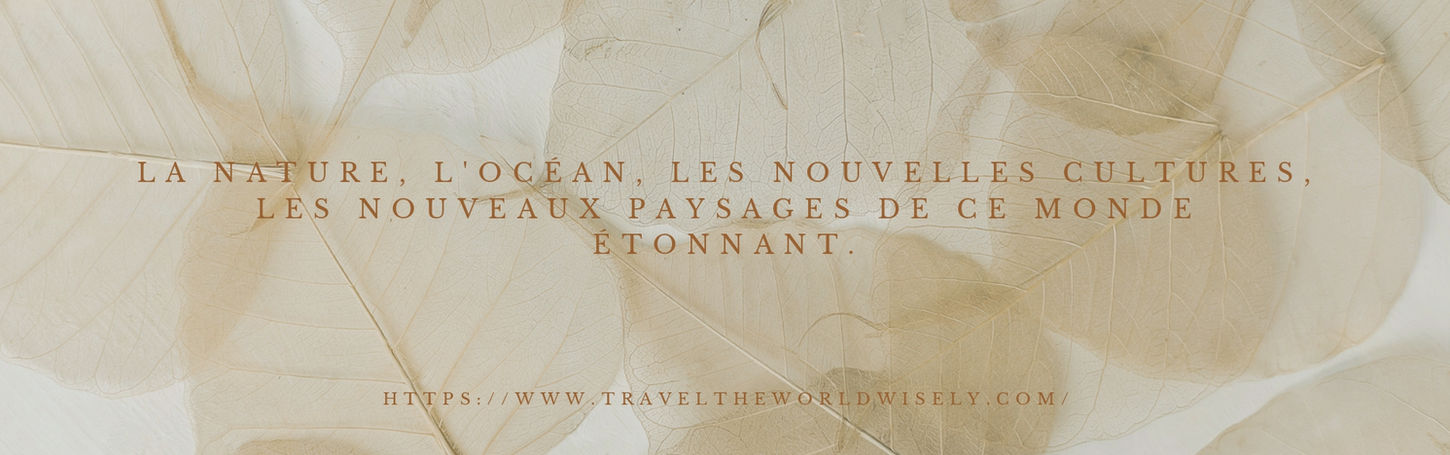 Travel Content Creators Traveling the World. A Collection World for HotelsResortsLodges. (