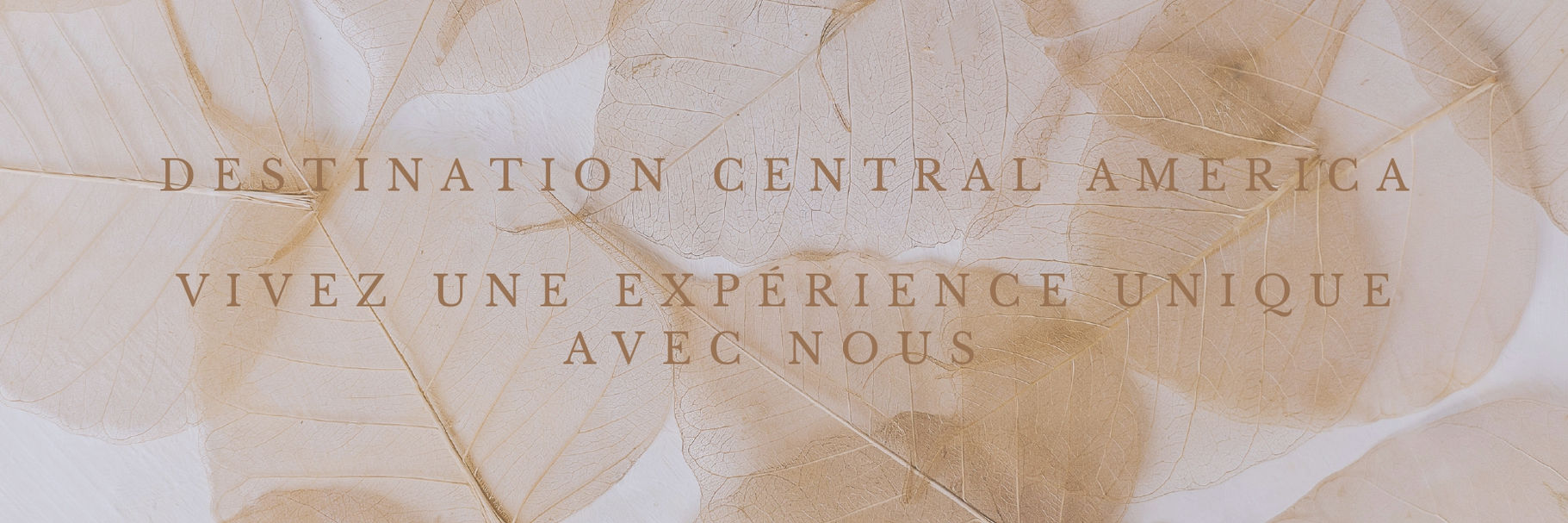 Destination Asie. Vivez une expérience unique avec nous. (16)_page-0001.jpg