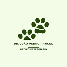 Logo Dr. João Pedro Rangel
