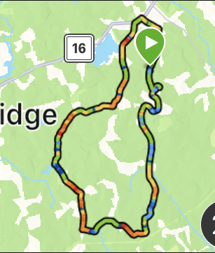March 19, 2023 Marathon Training
