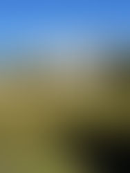 Yosemite: 70 miles in 7 days