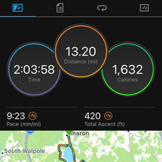 February 19, 2023 Marathon Training