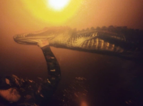 Copy of Manny puig myfloridaoutdoors capt orly marine nautical jewelry tridents fish hooks