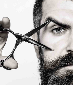 Screen Shot 2025-01-08 at 12.43.27 PM.png