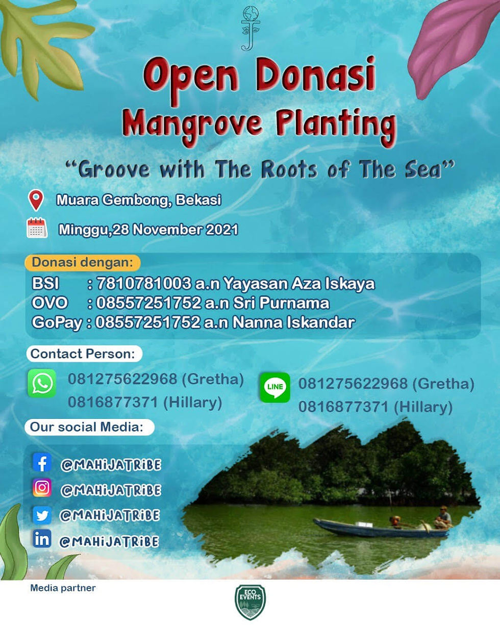 Groove with The Roots of The Sea