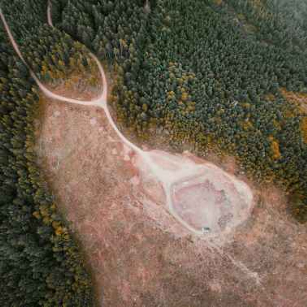 empty felled area among evergreen forest