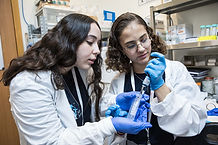 Atlas Juniors at the New Phase labs