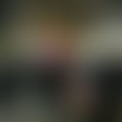 ADRV: Palästinasolidarität in St. Pölten geht weiter