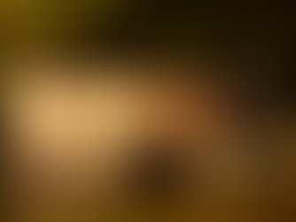 EU-Wahl: Eine Absage an den politischen Kurs der Herrschenden