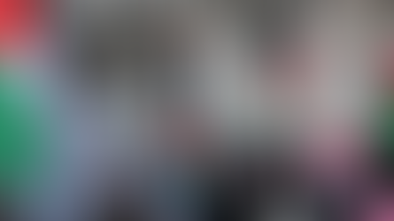 29. November: Tausende bei Palästina-Demo