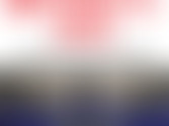 „Im Wirtschaftskrieg“ von Hannes Hofbauer - Eine Buchrezension.