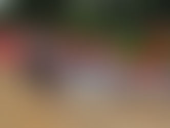 Brasilien: blutige Angriffe gegen die revolutionäre Bauernbewegung