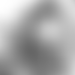 Der Vorbote: Flugblatt zum 92. Jahrestag des Roten Februar 1934