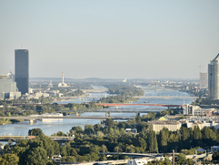 1.000 Euro Miete für 50 m²...