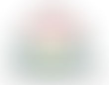 Dar al Janub: Stellungnahme gegen staatliche Repression