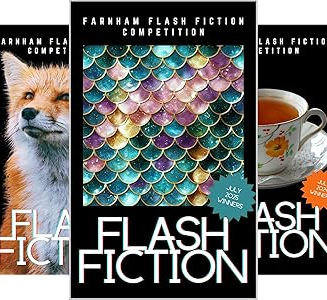 boxset-July 2025.jpg