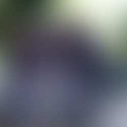 Así fue el último día de IV° medio