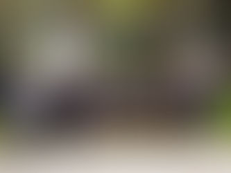 Presentación nuevo Centro de Alumnos