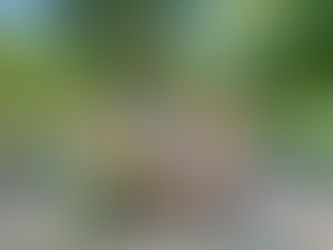 Con éxito finalizó el Summer Days