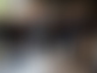 Alianza entre el Colegio Carampangue y la Universidad de Idaho