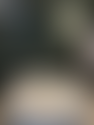 green wall, green paint color, paint colors, interior design trends