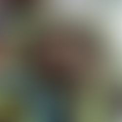 ivy plant, potted ivy, ivy