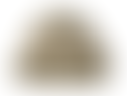 Magnolia Tuscany Green Pivoine Fleurs Quilt