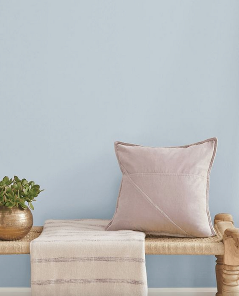 Sherwin Williams Color of the year