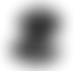 Open Kitchen by Williams Sonoma Matte Coupe Dinner & Salad Plates, Set of 4