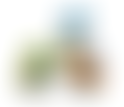 Lego The Insect Collection