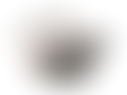 Magnolia Staub 5.5 Qt. Dutch Oven