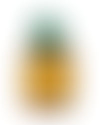 Saks Fifth Avenue Jo Malone London  Sunlit Cherimoya Cologne