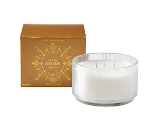 Williams Sonoma After The Harvest Spiced Cider Triple Wick Candle