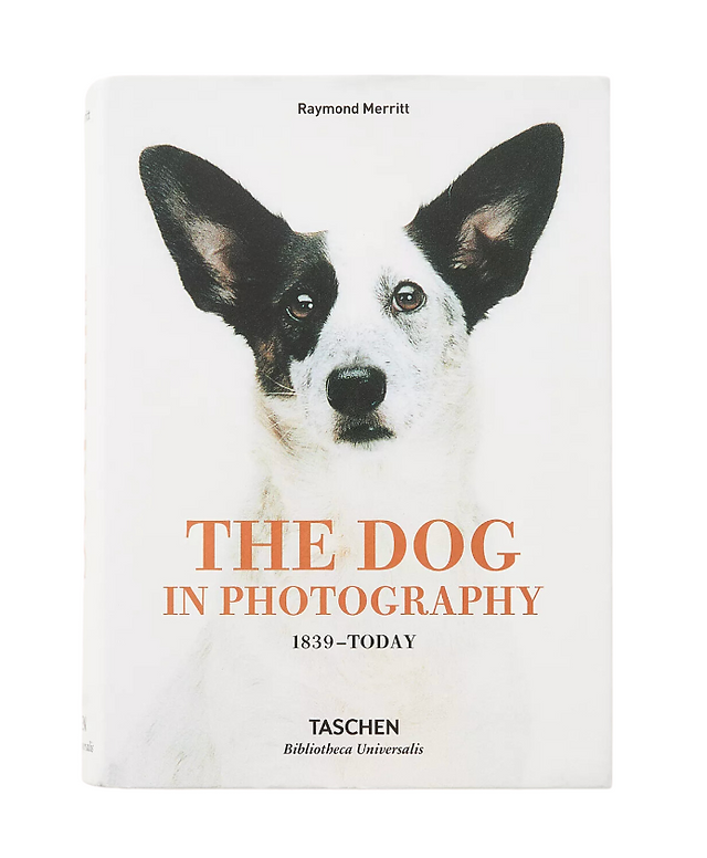 Anthropologie The Dog in Photography
