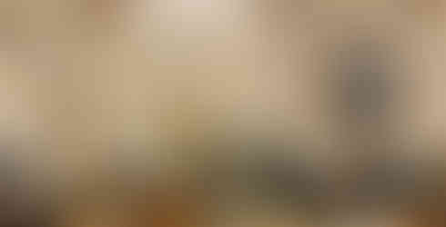 historic hotel, french renaissance architecture