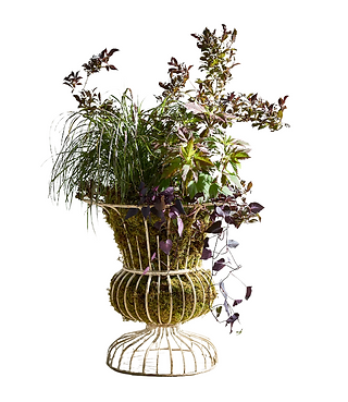 Terrain Flared Wire Urn