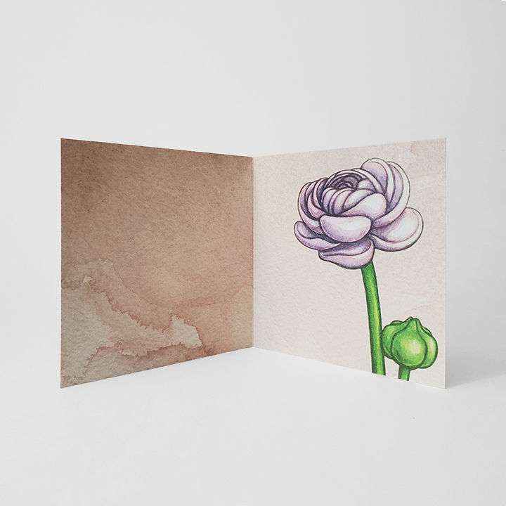 Thumbnail: Greeting Cards - 5 x 5 Ranunculus Garden