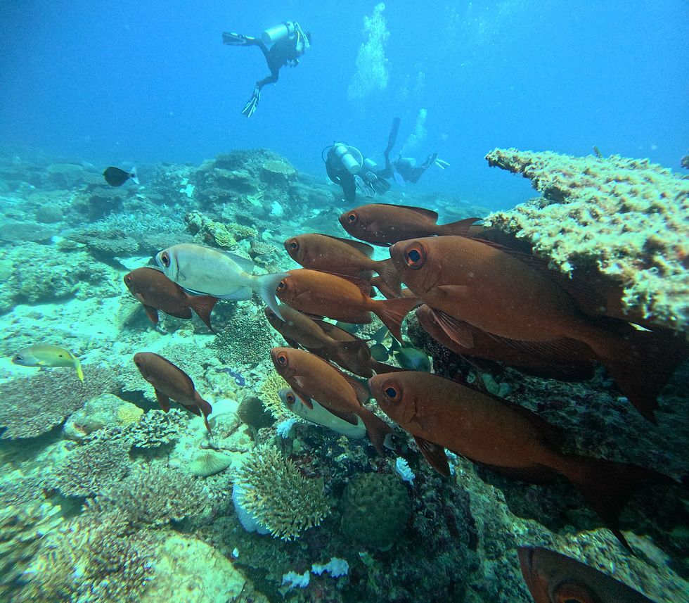 GOPR0580