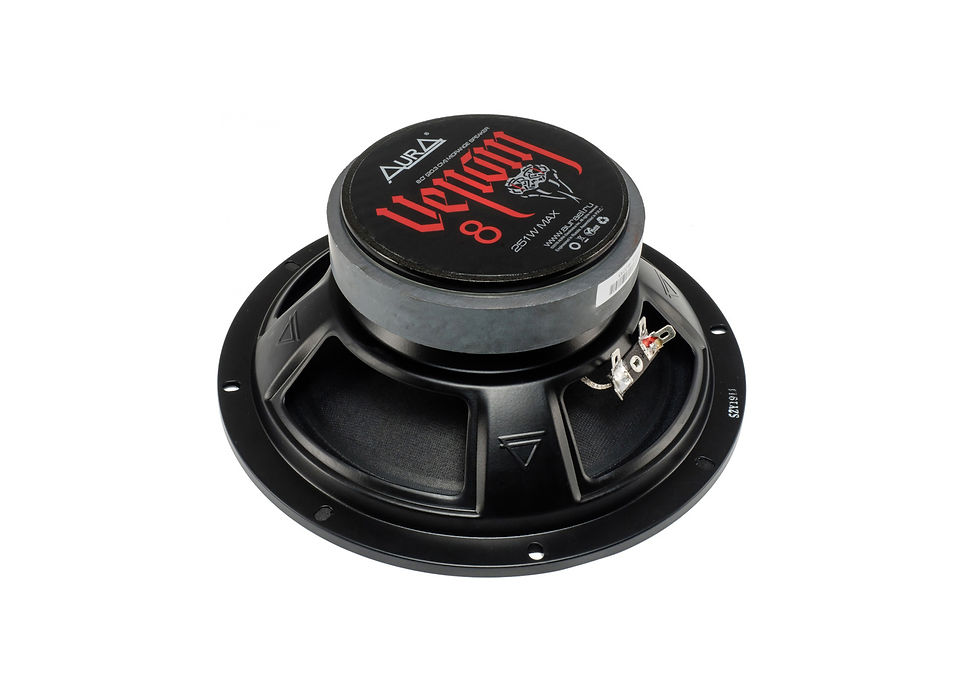 Миниатюра: Автоакустика Venom-8 20см "AurA"