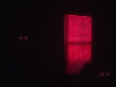 Red Window