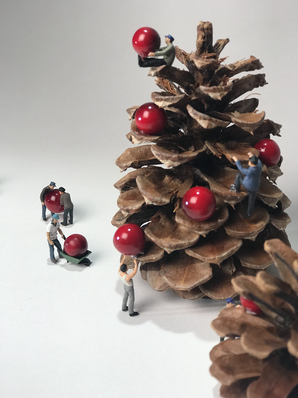 Decorating the Pinecone