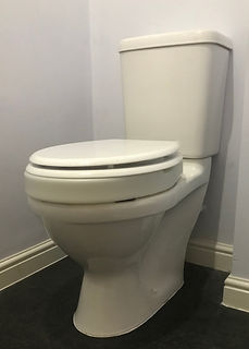 Throne 50mm Toilet Rasier on a standard toilet with toilet seat down