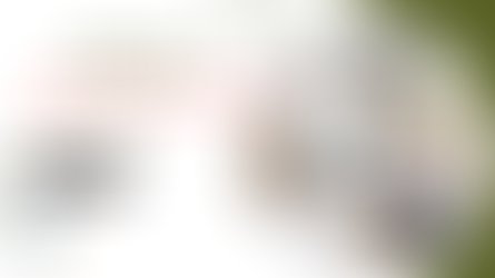 Oracle Financial Services Software Ltd