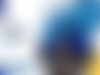 TVS Supply Chain Solutions Ltd