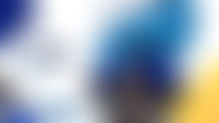 TVS Supply Chain Solutions Ltd